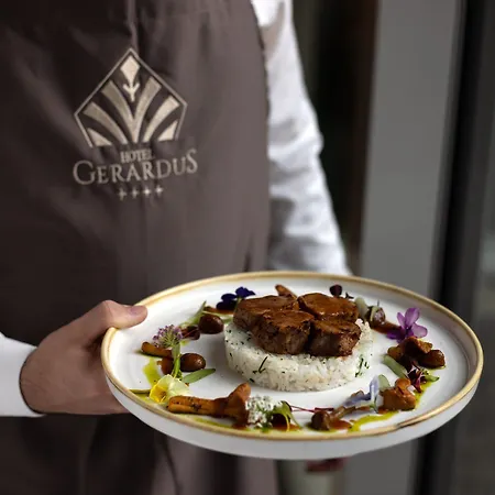 Gerardus ホテル セゲド